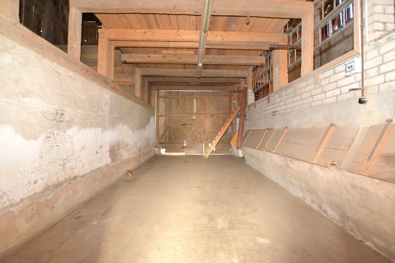Baulandparzelle 539 m2 mit bestehendem EFH in der Kernzone von Ettingen (8)