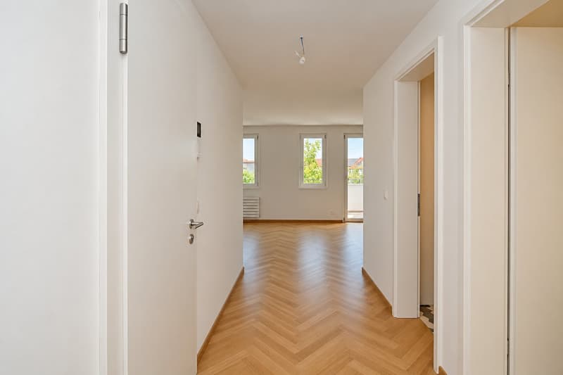Erstvermietung nach Totalsanierung | Stilvolle Attikawohnung mit zwei Terrassen (4)