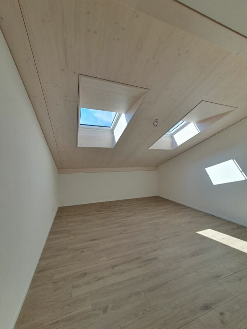 Neubau: 5.5-Zimmer-Eigentumswohnung (8)