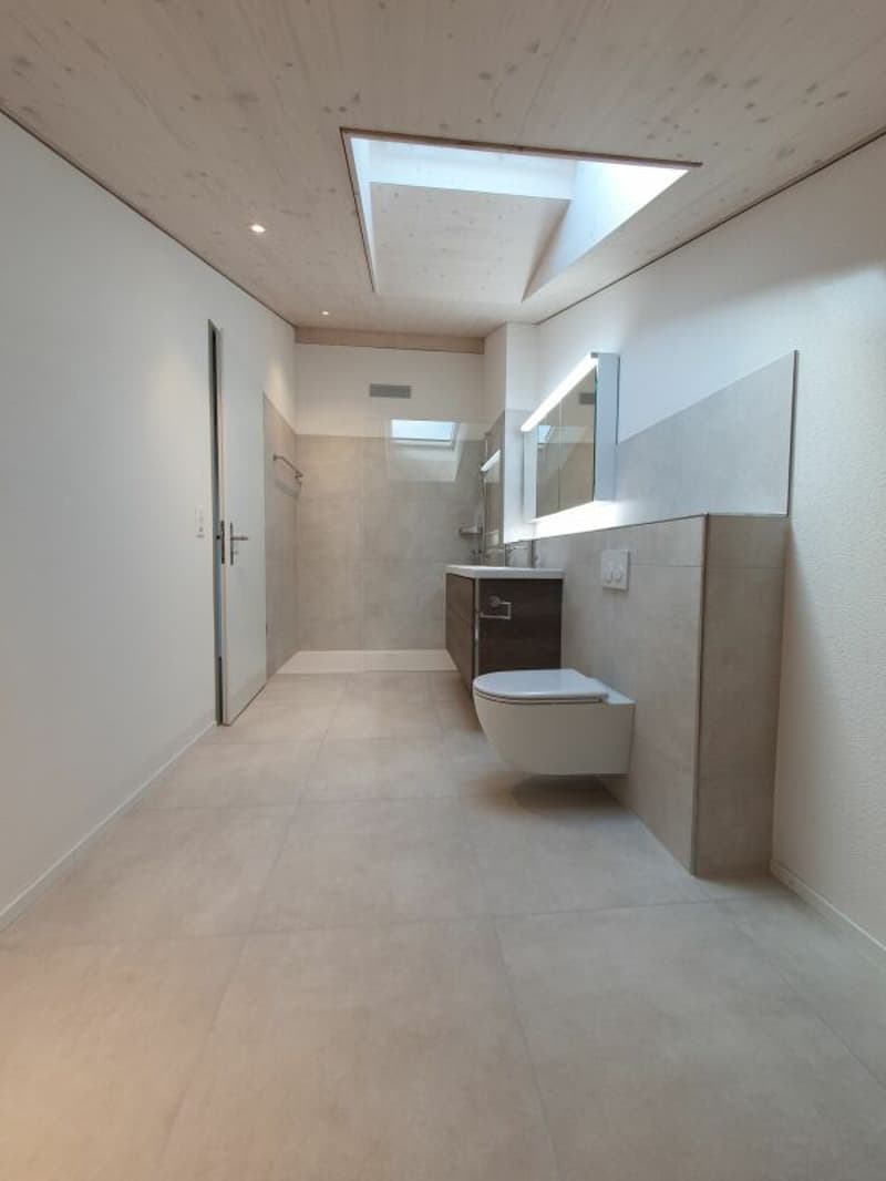 Neubau: 5.5-Zimmer-Eigentumswohnung (10)