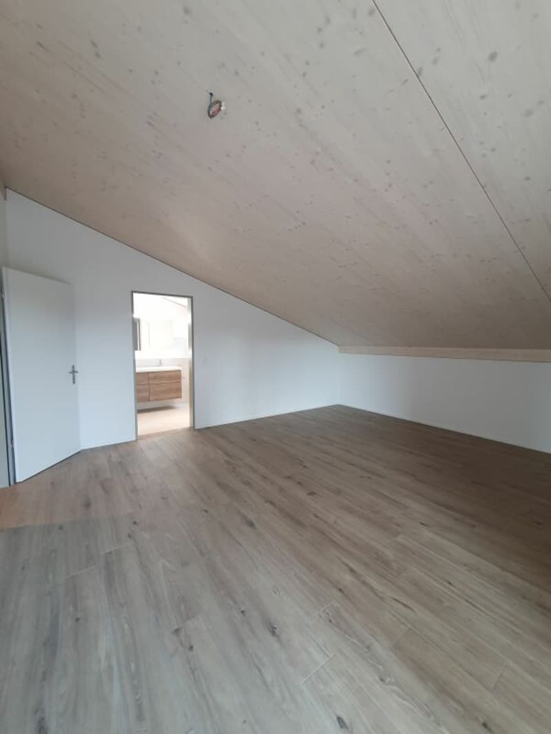 Neubau: 5.5-Zimmer-Eigentumswohnung (9)