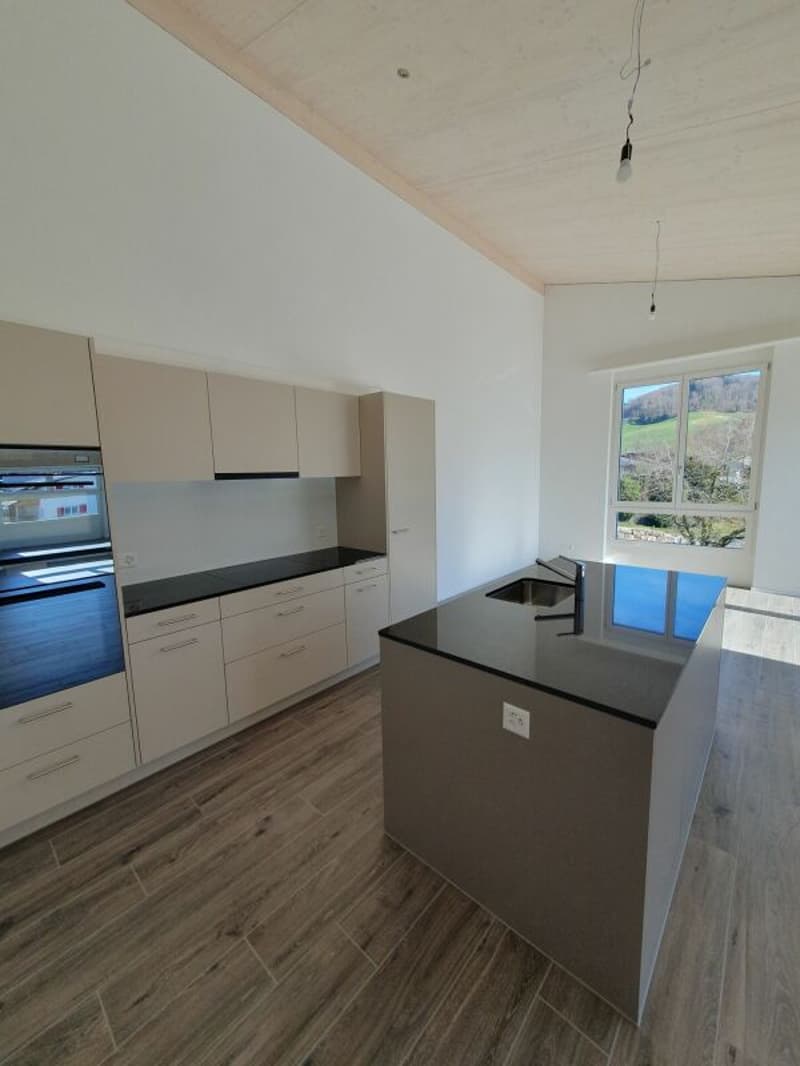 Sale: 4.5-room apartment on the top floor (6)