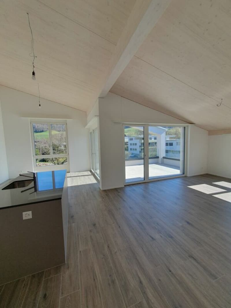 Sale: 4.5-room apartment on the top floor (7)