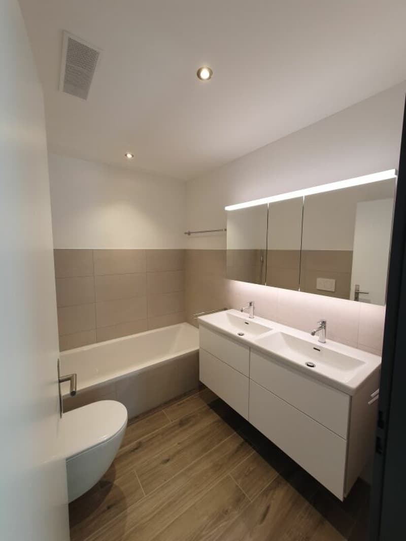 Sale: 4.5-room apartment on the top floor (4)