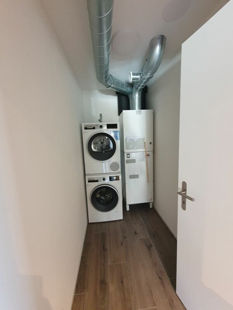 Rental: 4.5-room attic apartment (15)