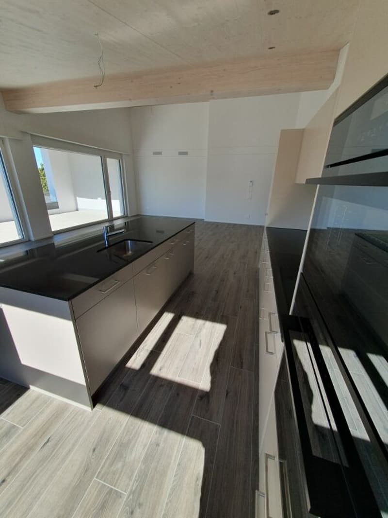 Rental: 4.5-room attic apartment (7)