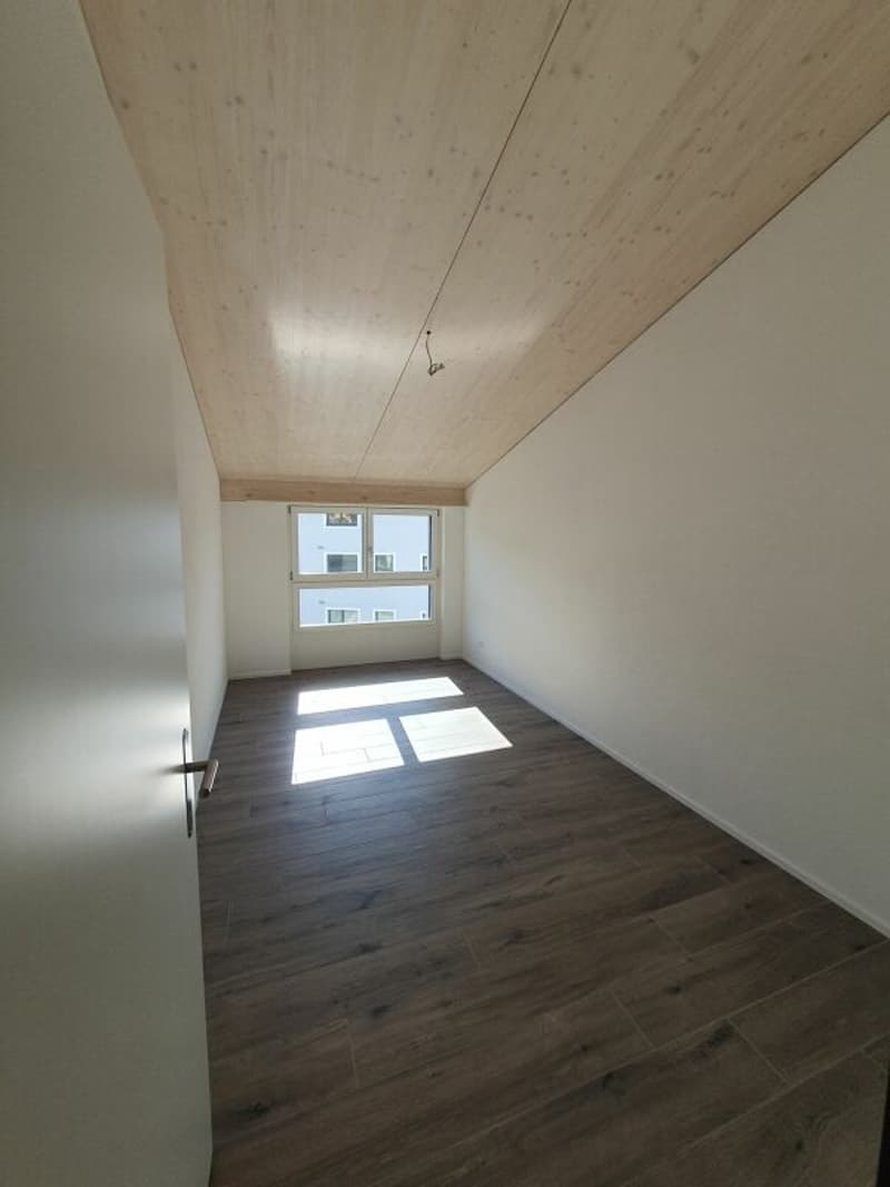 Rental: 4.5-room attic apartment (6)