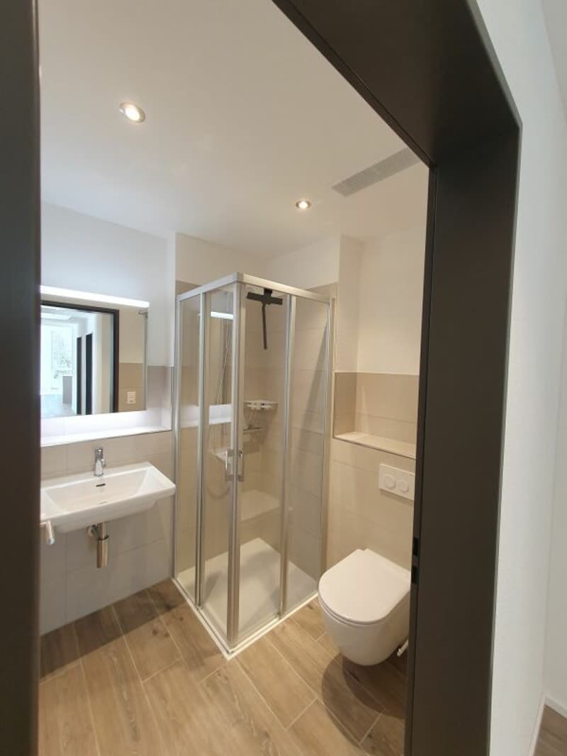 Rental: 4.5-room attic apartment (10)