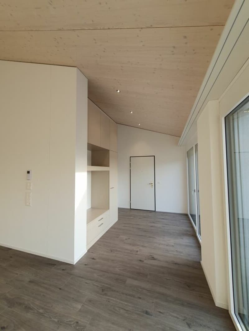 Rental: 3.5-room attic apartment (2)