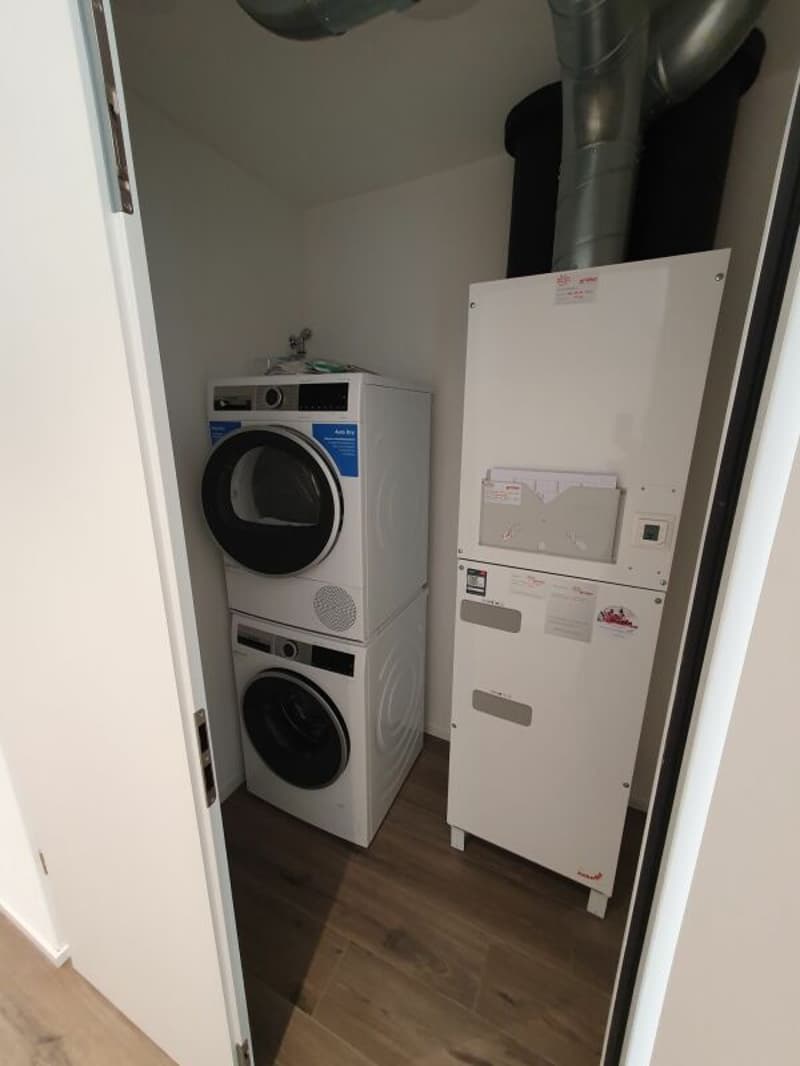 Rental: 3.5-room attic apartment (14)