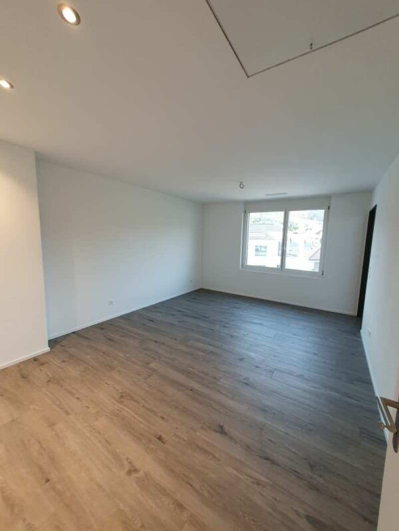 Rental: 3.5-room attic apartment (9)