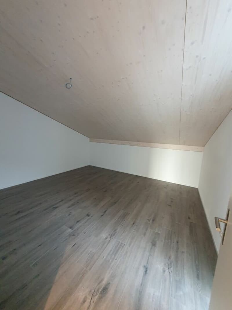 Rental: 3.5-room attic apartment (13)