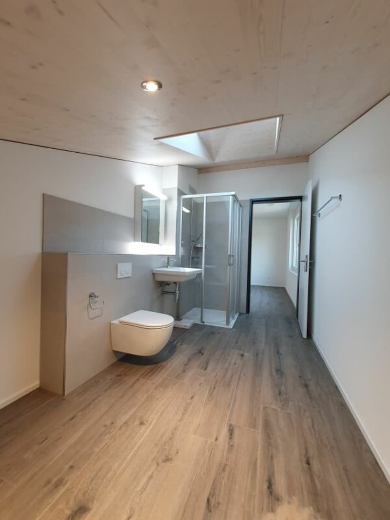 Rental: 3.5-room attic apartment (8)