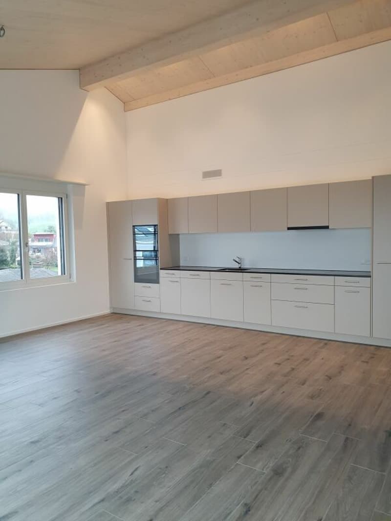 Rental: 3.5-room attic apartment (4)