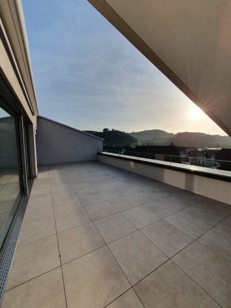 Rental: 3.5-room attic apartment (5)