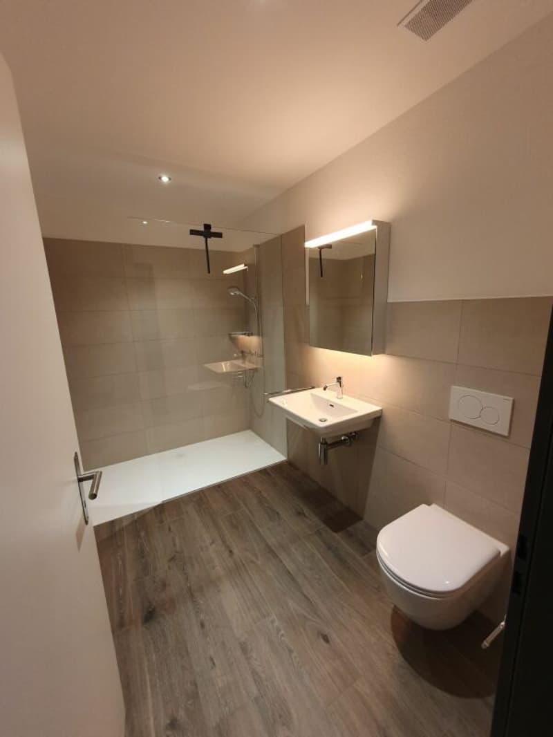 Vermietung: 4.5-Zimmer-Dachwohnung (10)