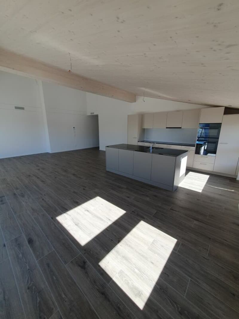 Vermietung: 4.5-Zimmer-Dachwohnung (8)