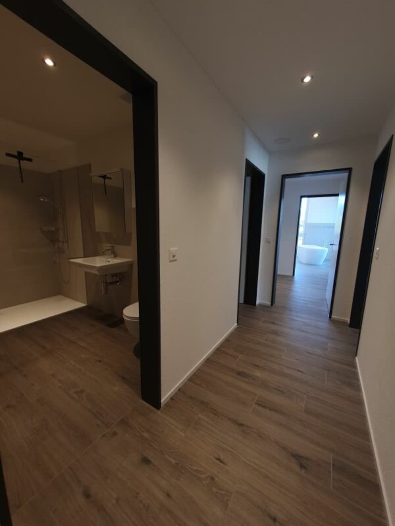 Vermietung: 4.5-Zimmer-Dachwohnung (9)