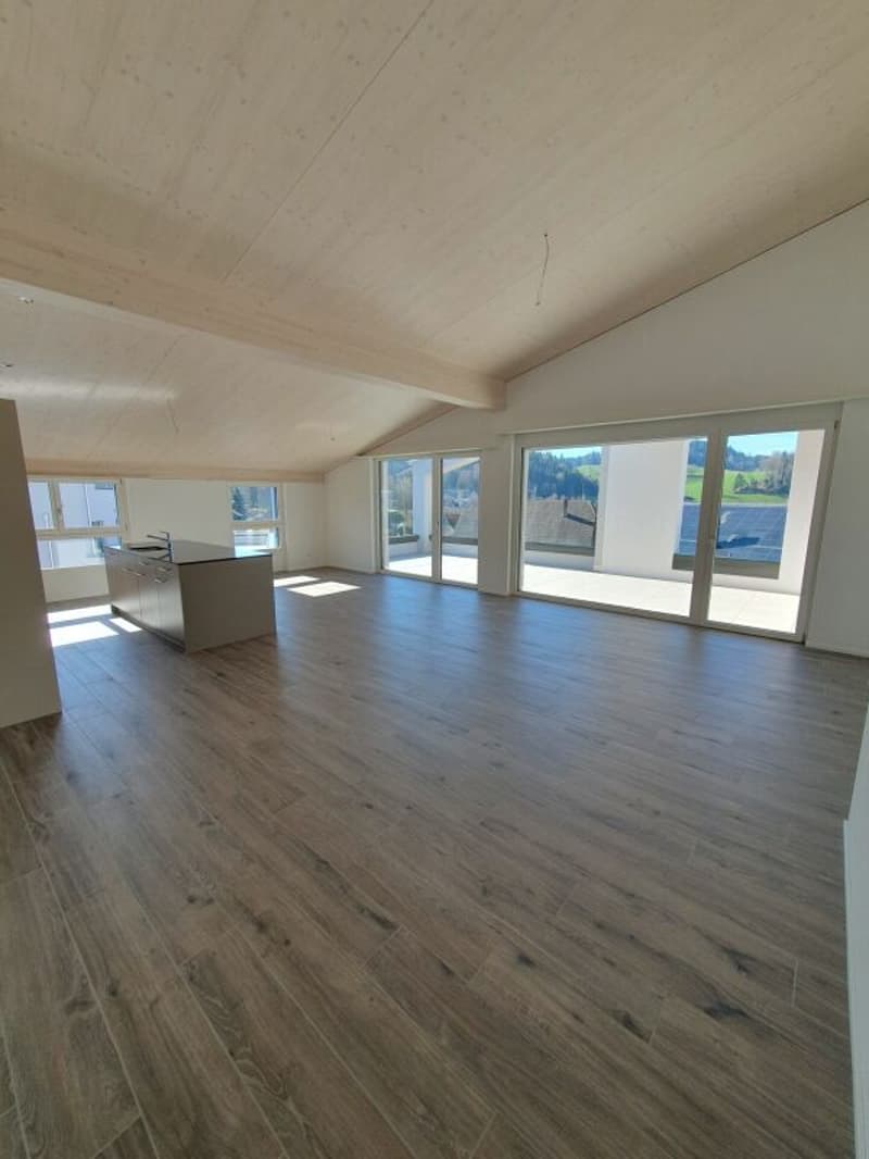 Vermietung: 4.5-Zimmer-Dachwohnung (4)