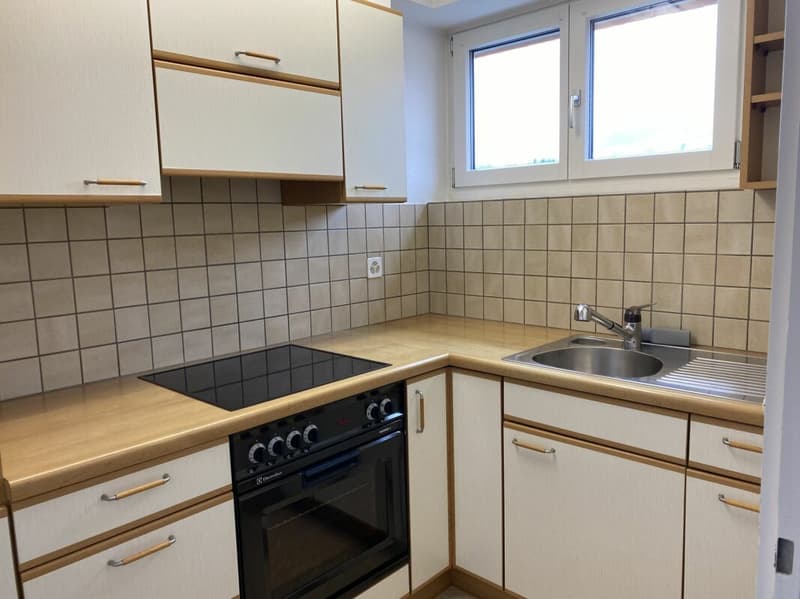Conveniente, soleggiato, tranquillo, ampio balcone! Cucina separata. Appartamento 2.5 locali con vista! (4)