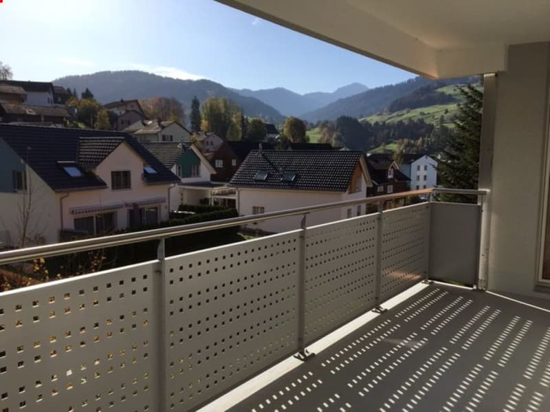Conveniente, soleggiato, tranquillo, ampio balcone! Cucina separata. Appartamento 2.5 locali con vista! (3)