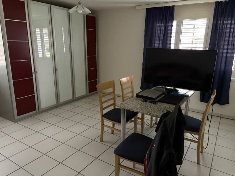 1.5 room apartment in a well-maintained residential area (3)