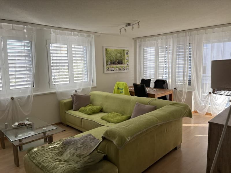 2.5 room apartment in a well-maintained residential area (2)