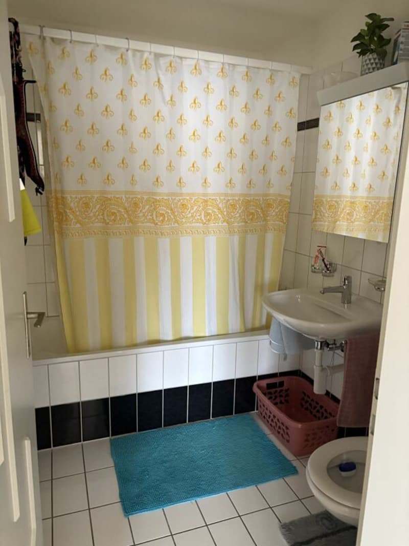 2.5 room apartment in a well-maintained residential area (3)