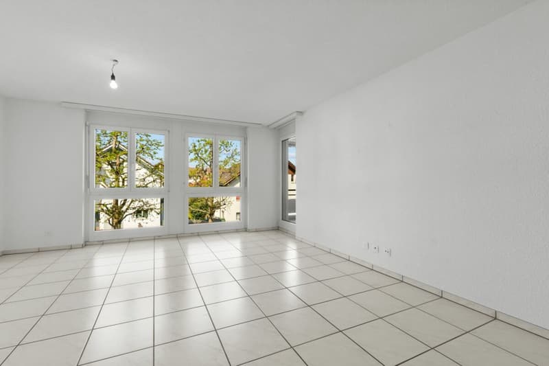 Appartement 3,5 pièces dans un quartier résidentiel bien entretenu (2)
