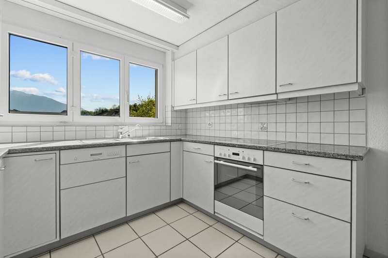 Appartement 3,5 pièces dans un quartier résidentiel bien entretenu (4)