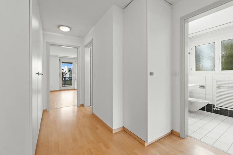 4.5 room apartment in a well-maintained residential area (5)