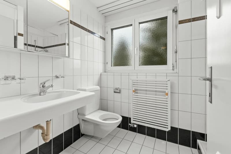 4.5 room apartment in a well-maintained residential area (7)
