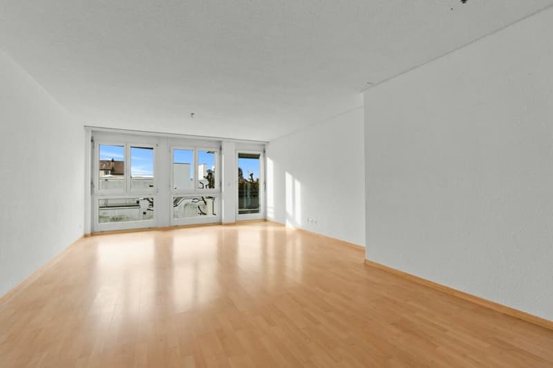 4.5 room apartment in a well-maintained residential area (4)