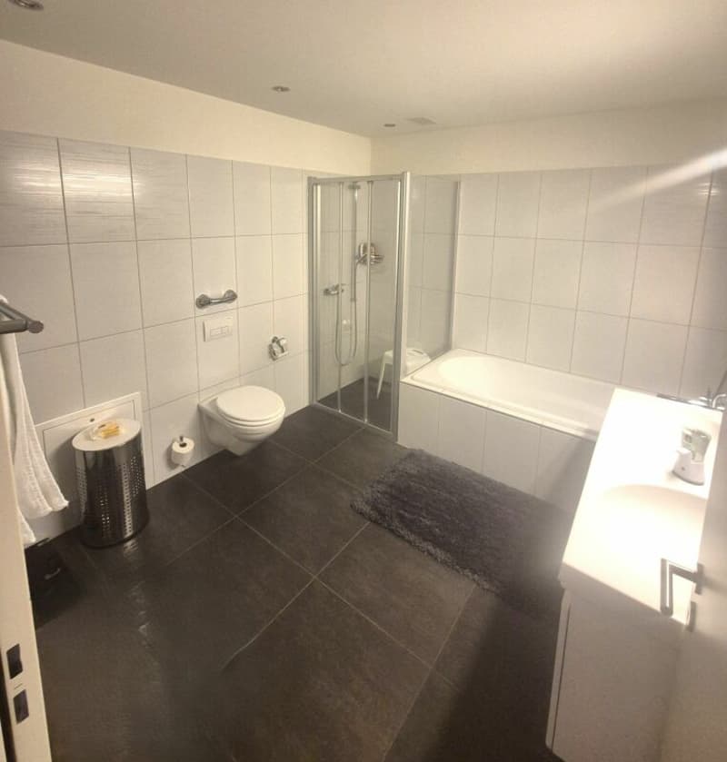 2.5-Zimmer Wohnung an zentraler Lage (4)