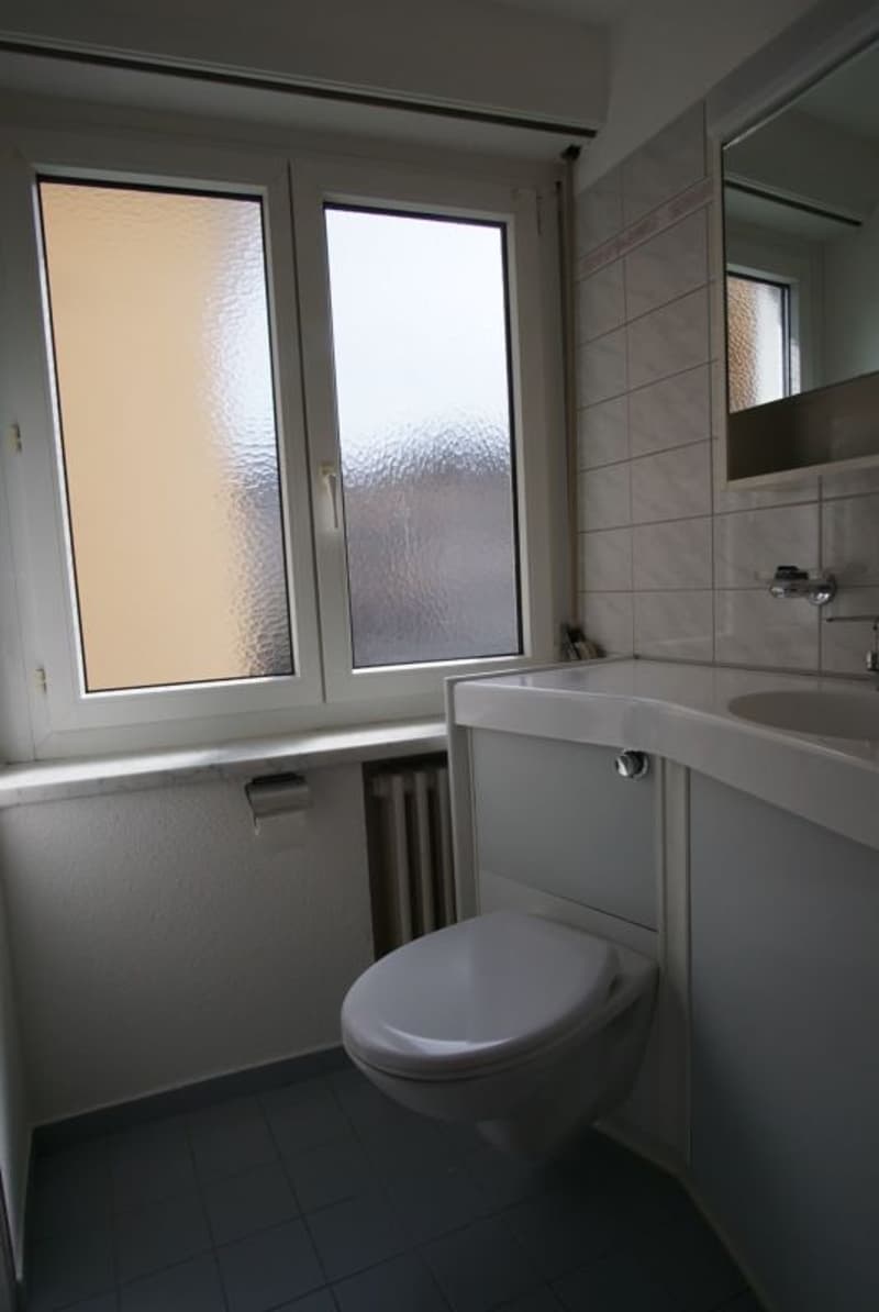Schöne, helle 1.5-Zi-Wohnung an zentraler Lage. Abgeschlossene Küche. Lift. Aussicht! Bus, Stadtbahnhof, Läden, See. Alles in Gehdistanz! (4)