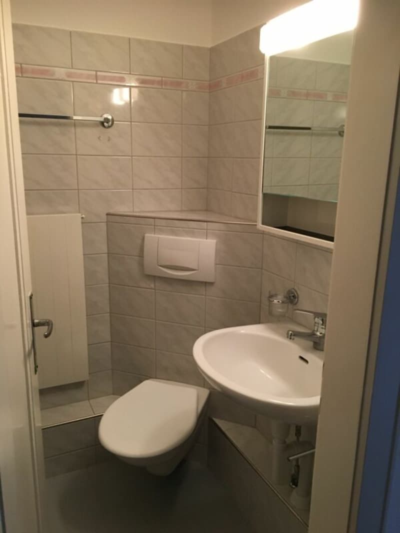 schöne, helle, grosse, sehr preiswerte 2.5 Zi-Wohnung. Zentral nahe Stadtbahnhof. Lift und Balkon! Kopie (4)