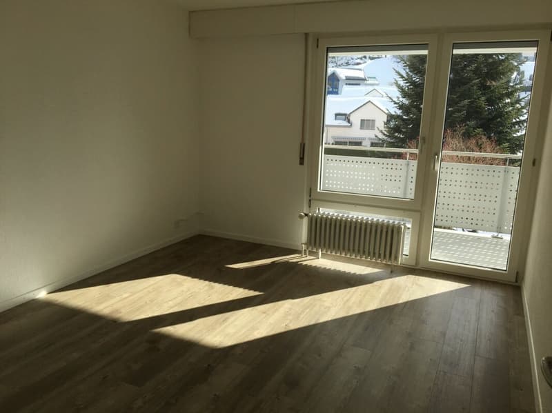 Preiswert! schöne, sonnige, grosszügige EG-4.5 Zi-Wohnung mit grossem Balkon und Bergsicht! (4)
