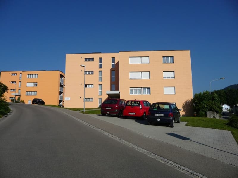 Preiswert! schöne, sonnige, grosszügige EG-4.5 Zi-Wohnung mit grossem Balkon und Bergsicht! (1)