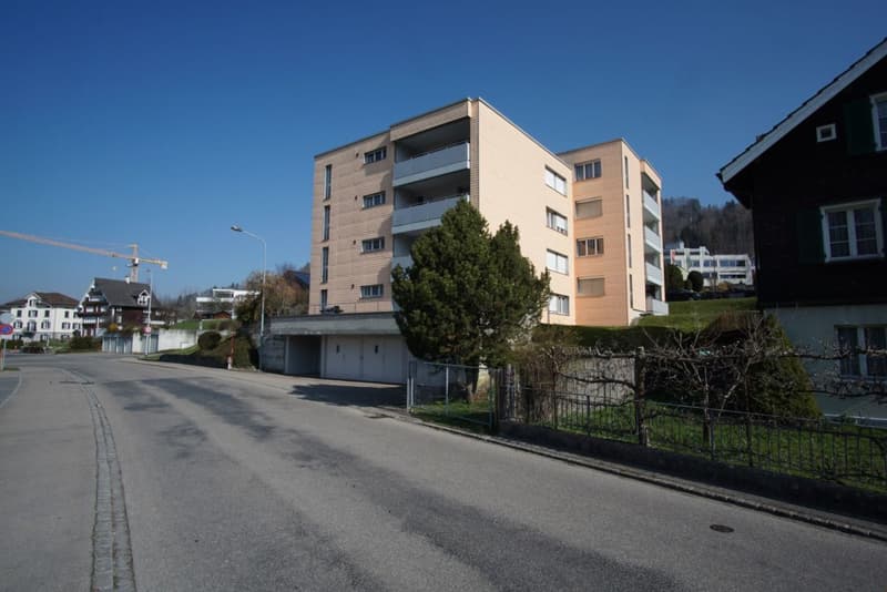 Preiswert! schöne, sonnige, grosszügige EG-4.5 Zi-Wohnung mit grossem Balkon und Bergsicht! (2)