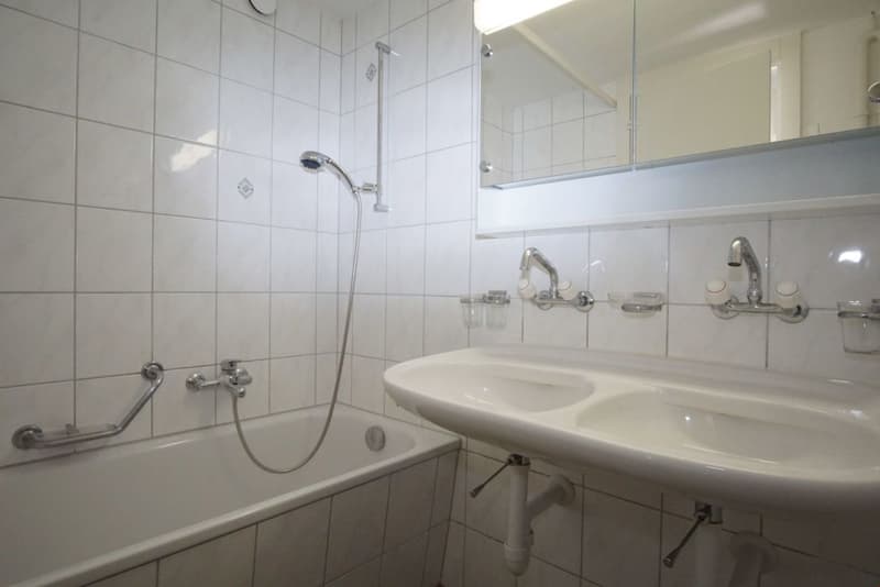 Preiswert! schöne, sonnige, grosszügige EG-4.5 Zi-Wohnung mit grossem Balkon und Bergsicht! (8)