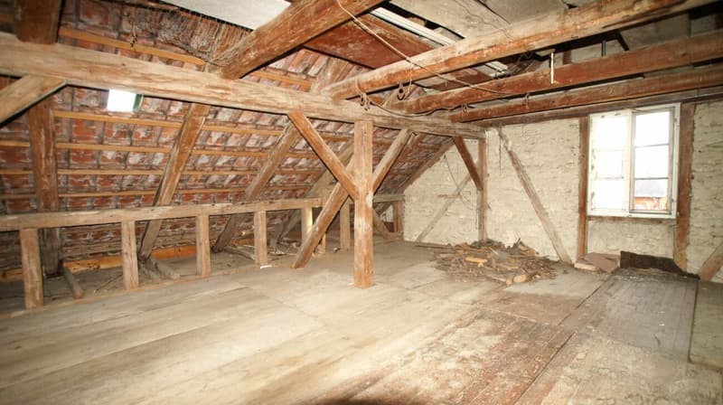 Terreno edificabile con proprietà vecchia (studio di concept di nuova costruzione MFH disponibile) (11)