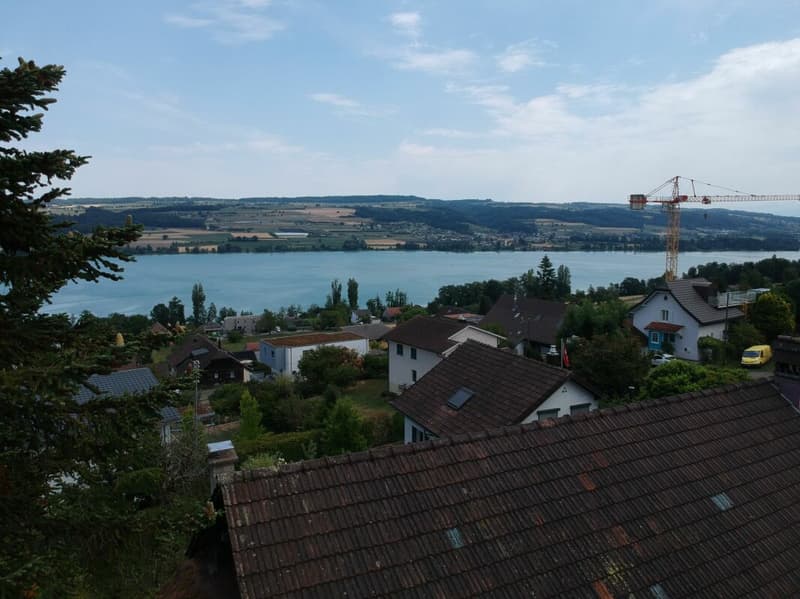 Bauland AZ 0.6 / MFH Neubau Konzept-Studie vorhanden (15)