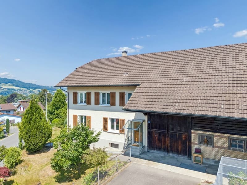 Grosses Bauernhaus mit Scheune / Bauland für Neubauprojekt (3)