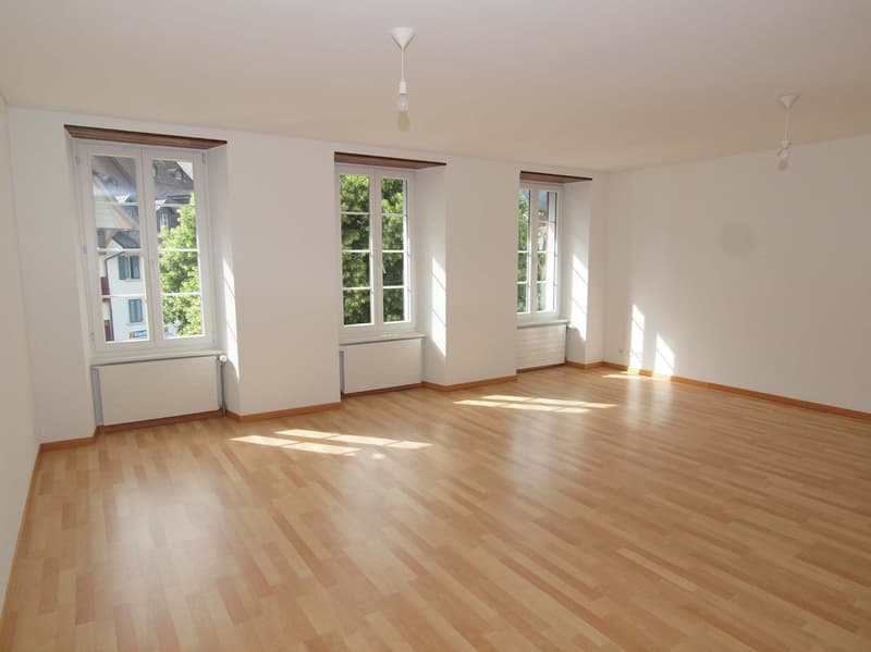Charmantes Altstadt-Wohn- und Geschäftshaus, zentral gelegen (2)