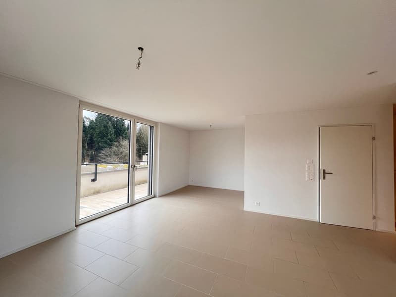 Moderne 1.5-Zimmer-Attikawohnung für Senioren (3)