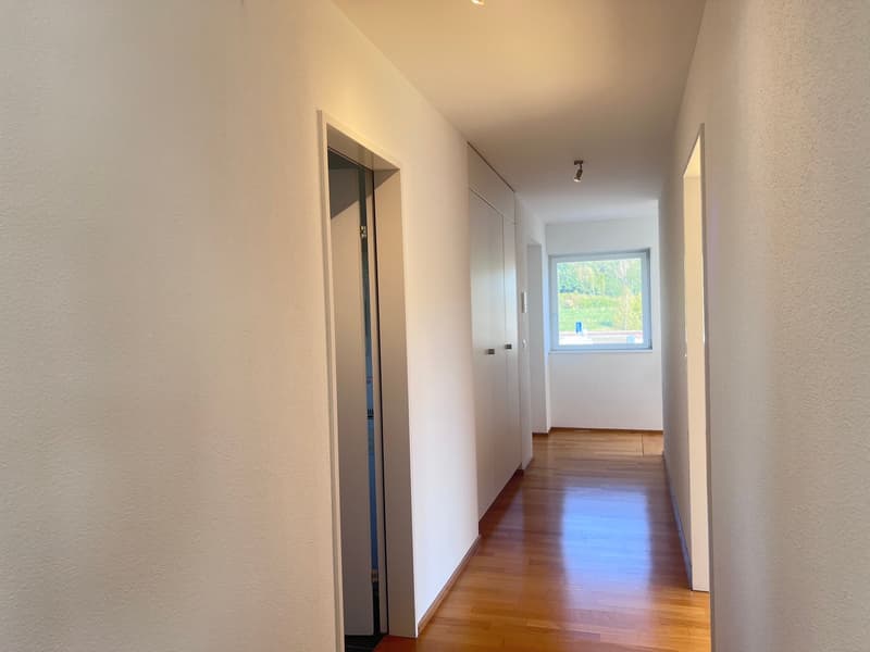 Charmante 2.5-Zimmer-Attikawohnung mit Weitsicht (10)