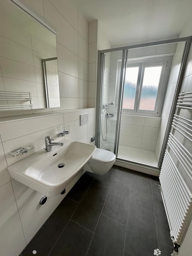 white tiles, white sink, white toilet, glass shower door, white mirror, white heated towel rack
