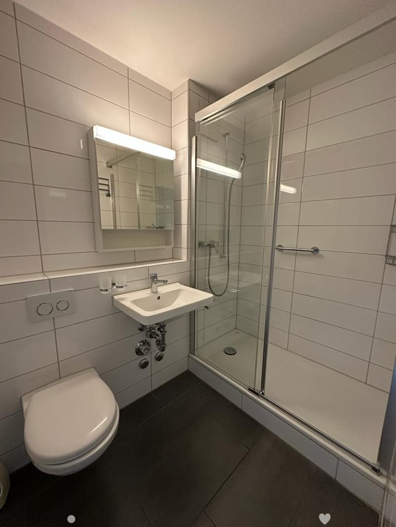 3.5-Zimmerwohnung an ruhiger Lage / Appartement de 3.5 pièces dans un endroit calme (3)