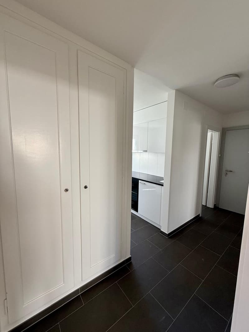 Renovierte 3-Zimmerwohnung mit Mansarde / Appartement rénovée de 3 pièces avec mansarde (8)