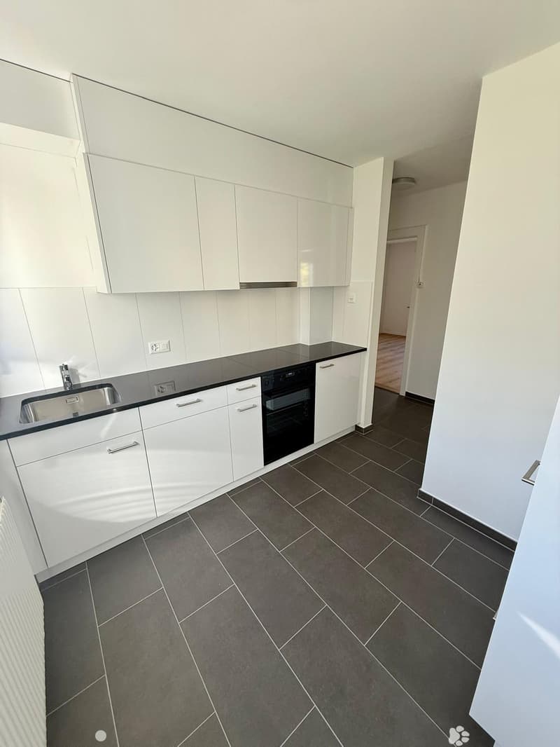 Renovierte 3-Zimmerwohnung mit Mansarde / Appartement rénovée de 3 pièces avec mansarde (3)